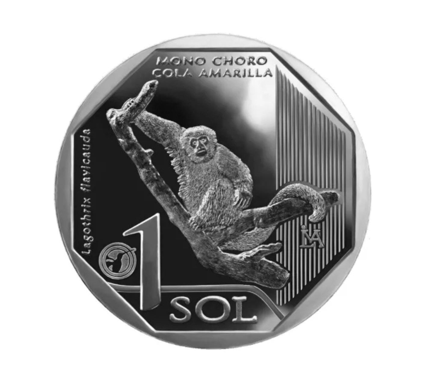 2019 Peru 1 Sol Coin – Mono Choro Cola Amarilla | Fauna Silvestre del Perú Collectible