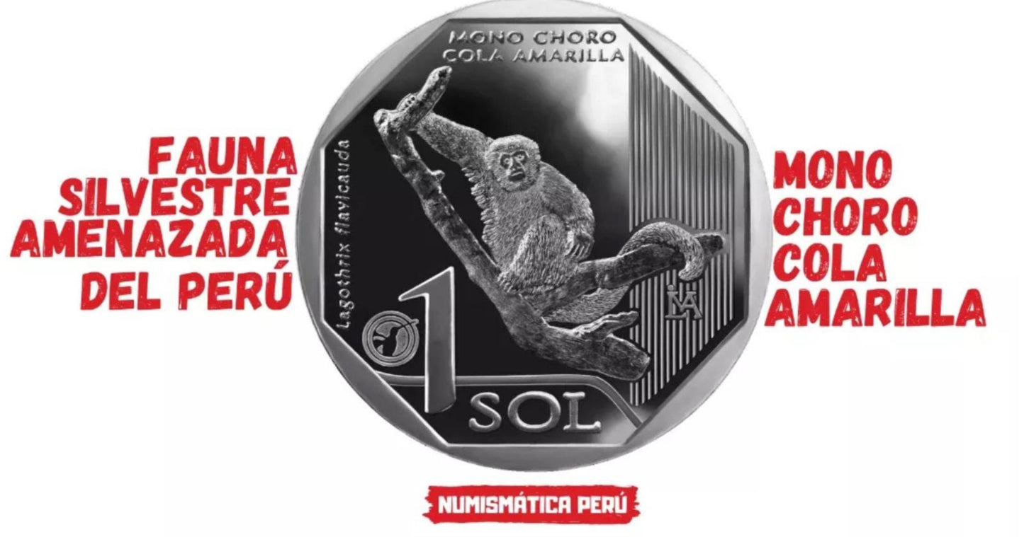 2019 Peru 1 Sol Coin – Mono Choro Cola Amarilla | Fauna Silvestre del Perú Collectible