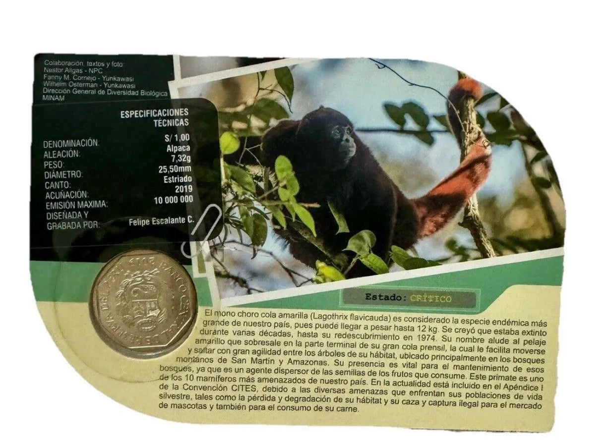 2019 Peru 1 Sol Coin – Mono Choro Cola Amarilla | Fauna Silvestre del Perú Collectible